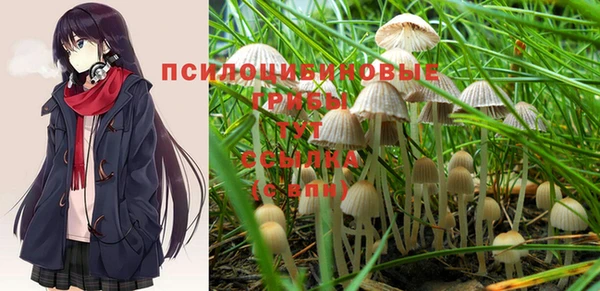 соль курить ск Сосновка